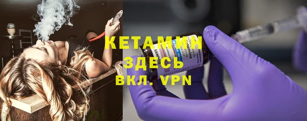 шишки Заволжье