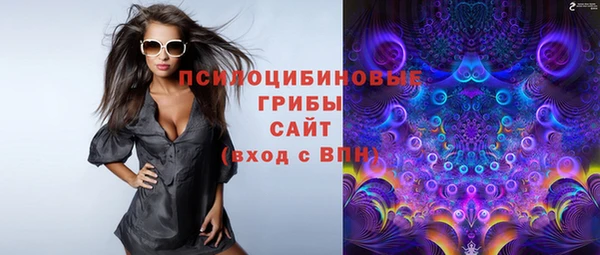 мяу мяу мука Заводоуковск