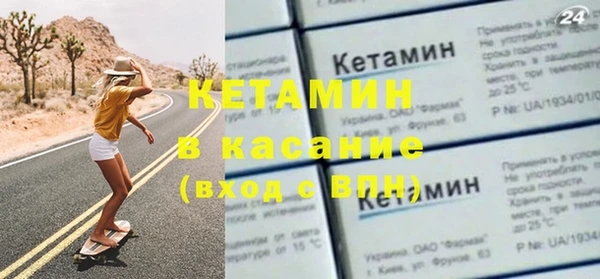 шишки Заволжье