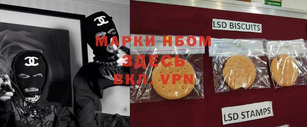шишки Заволжье