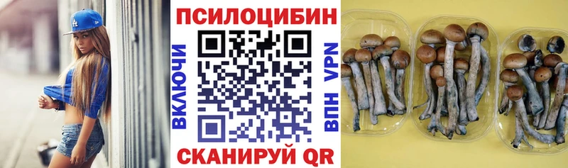 Купить где  Макарьев  Псилоцибиновые грибы мухоморы 