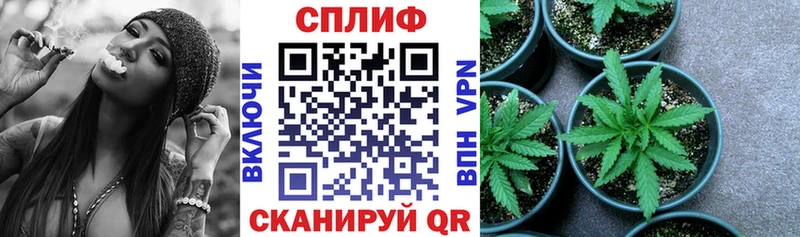 Бошки марихуана тримм  Купить где  Макарьев 